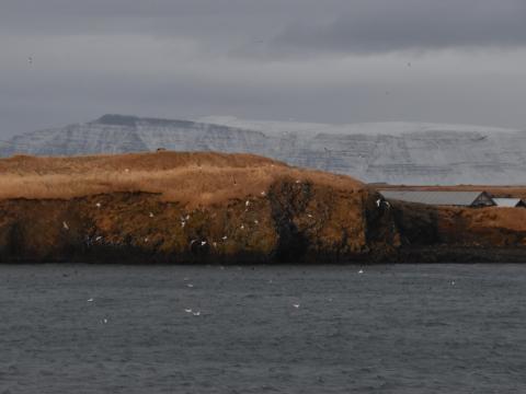 videy island in winter